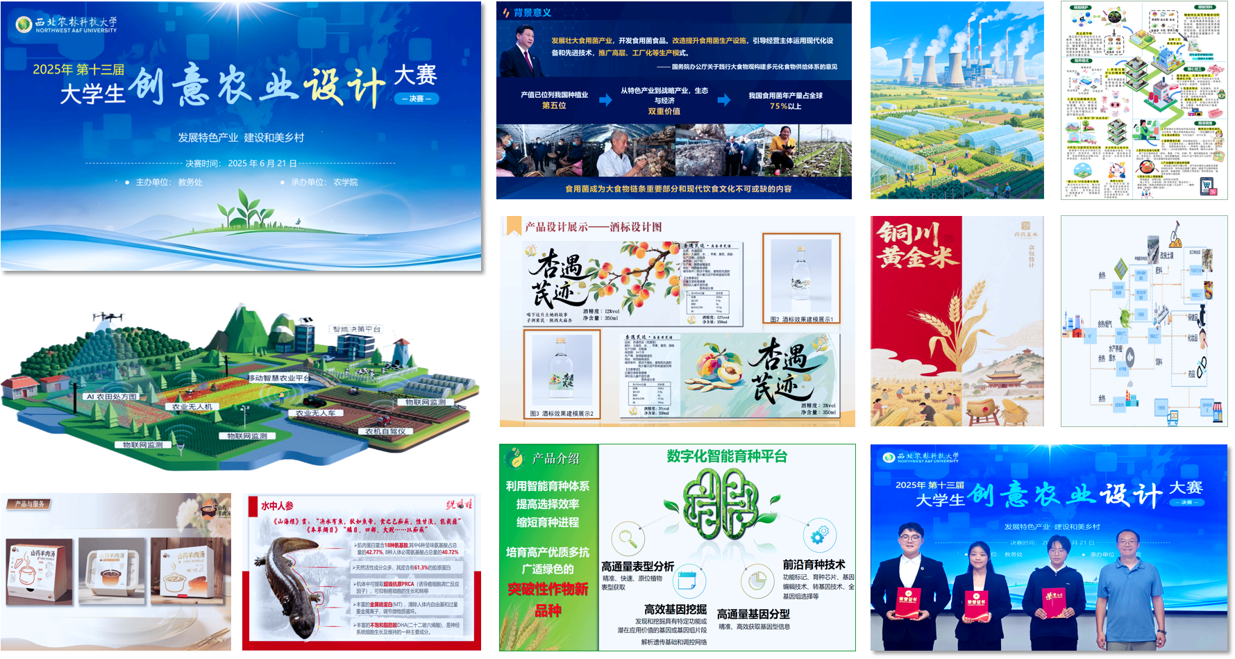 图片1.png