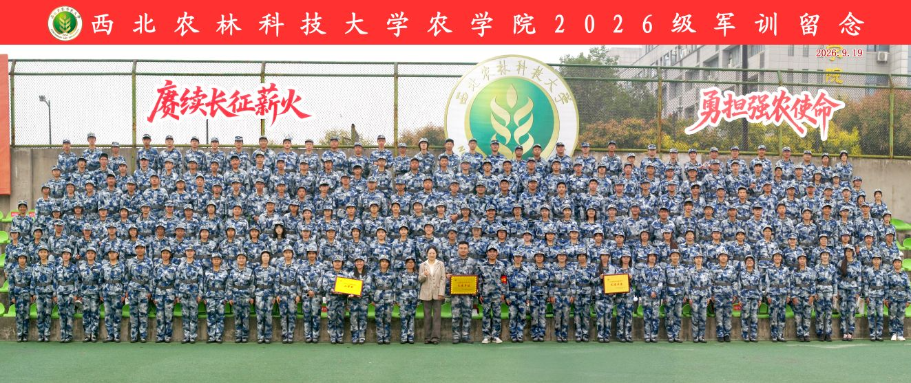 qq_pic_merged_1789888644780..jpg