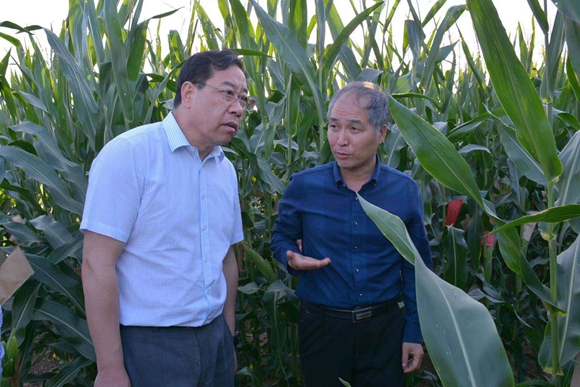 薛吉全教授介绍基地育种情况.jpg