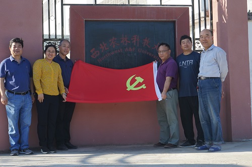 成立临时党支部-.jpg