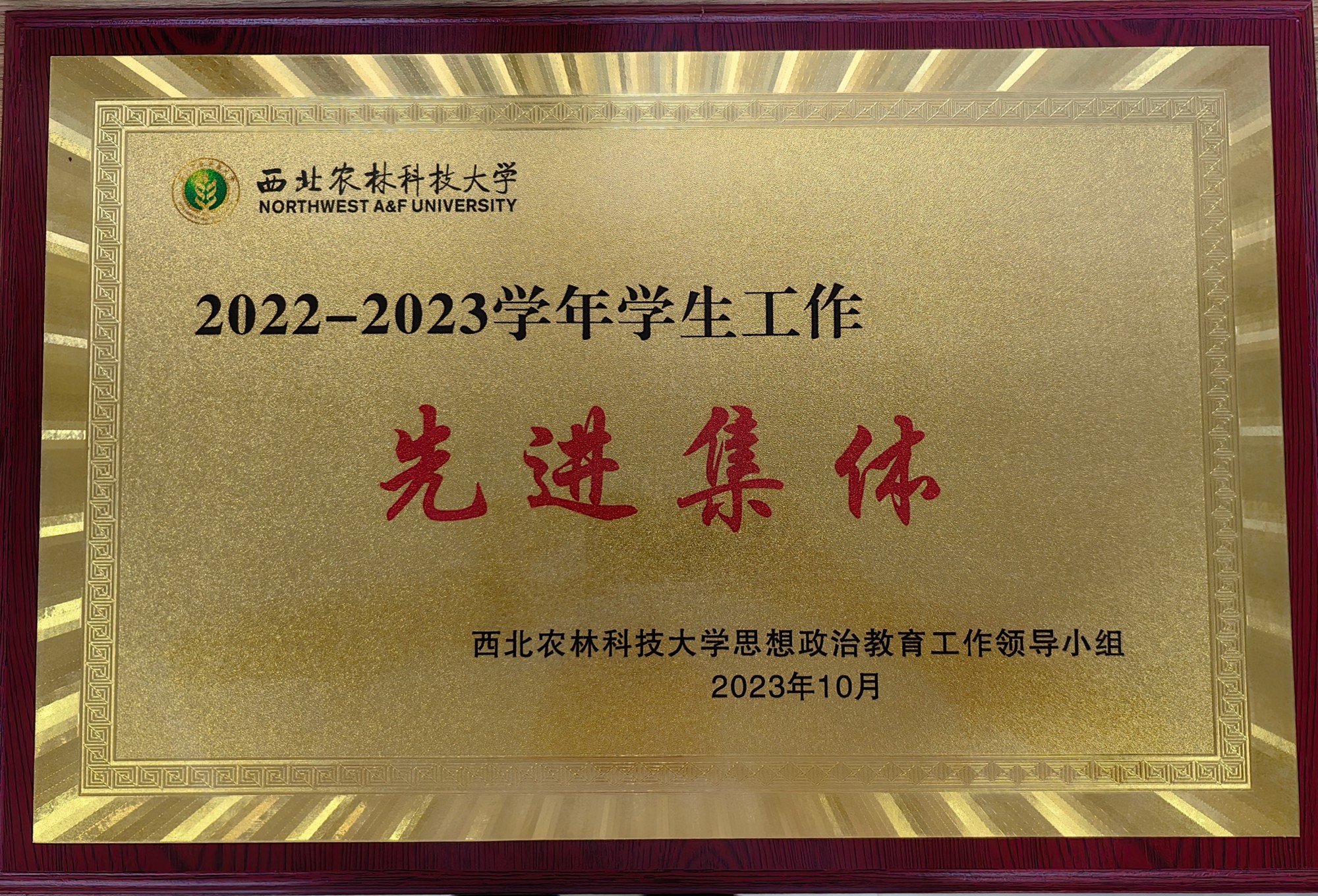 6FC10C25F30F8B8B4039EC559322582A_副本.jpg