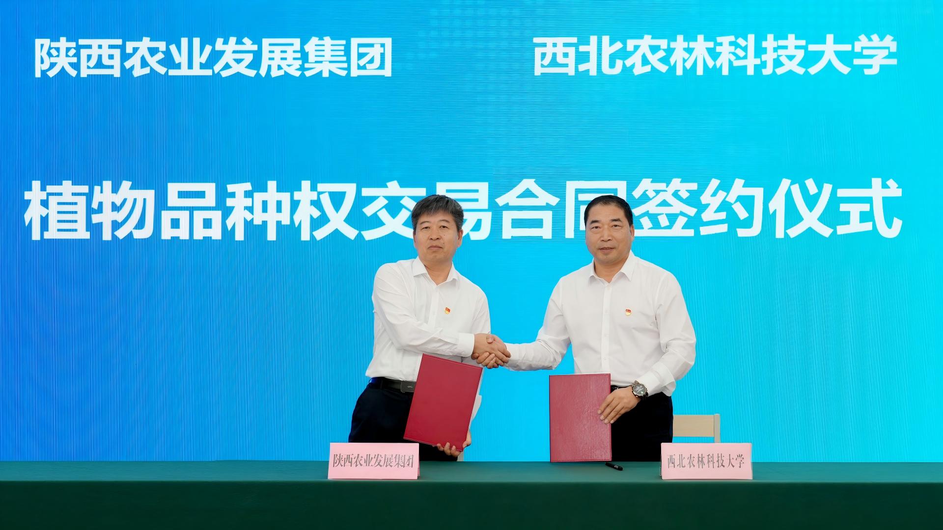 西农1155签约现场.jpg